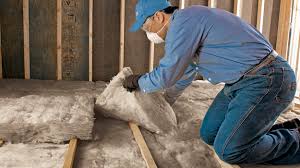 Best Eco-Friendly or Green Insulation Solutions  in USA